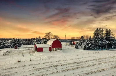 Red barns on a snowy farm landscape with a vivid sunset sky in Saint Charles, Minnesota.